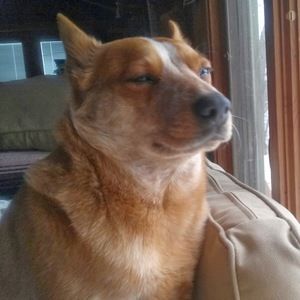 Meet your Posher, Jamesy